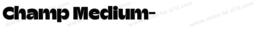Champ Medium字体转换